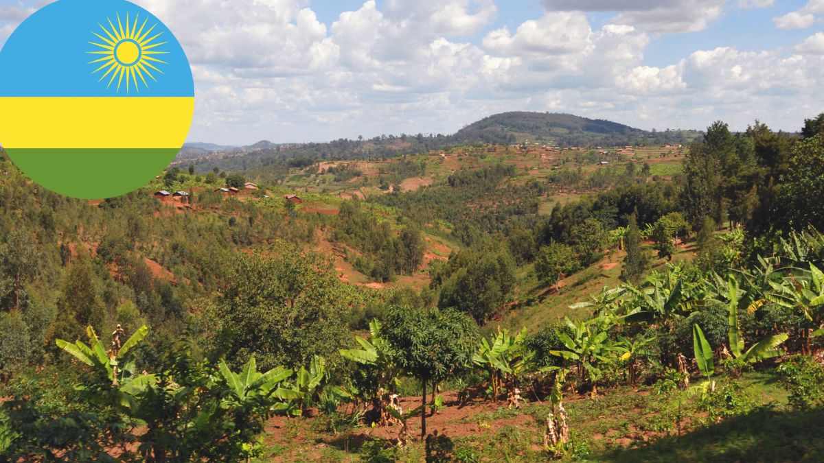 Ruandische Hügellandschaft