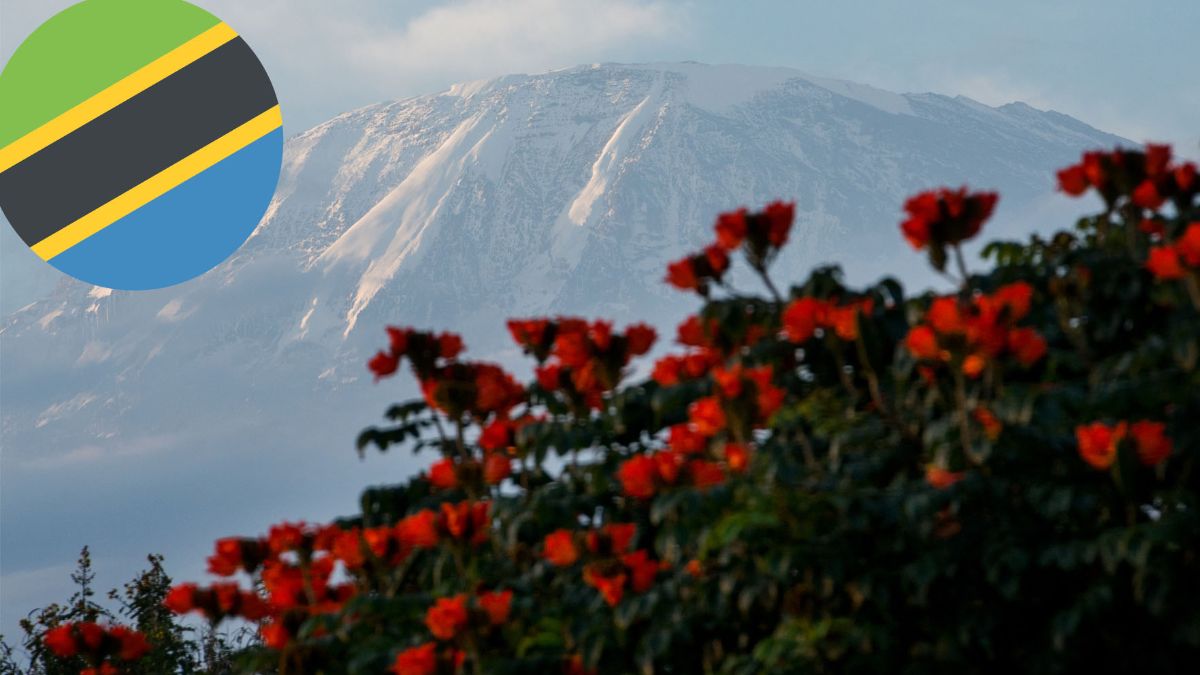 Aufnahme des Kilimandscharo in Tansania