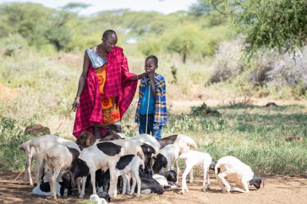 Ein Mann in Massai-Tracht legt einem Jungen die Hand auf die Schulter. Beide tragen Hirtenstöcke. Sie sind von Schafen umringt.
