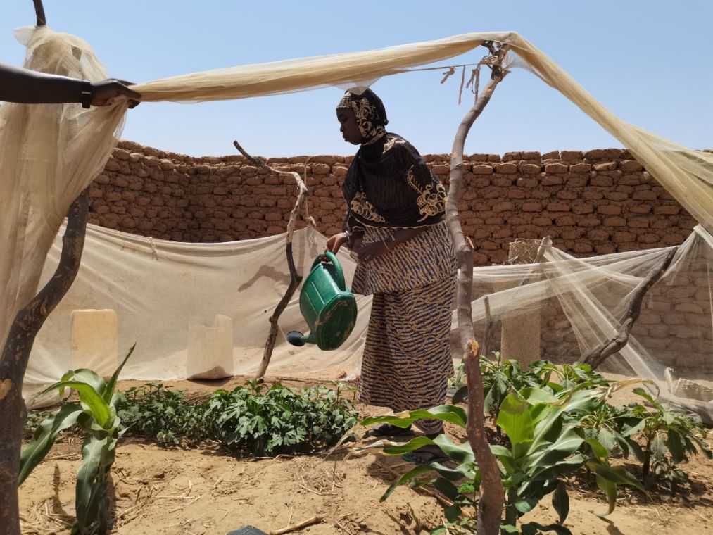 Ein schwarzes Mädchen gießt Gemüsepflanzen.