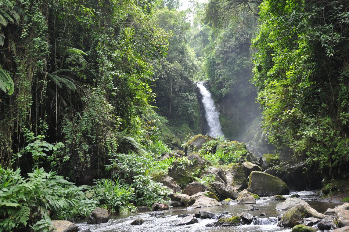 Aufnahme des Kilasia-Waserfalls in Tansania