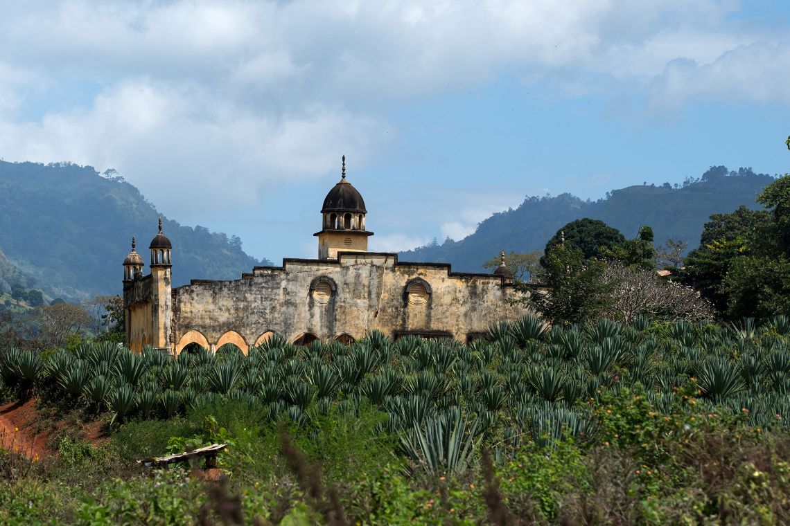 Eine alte Moschee inmitten einer Sisalplantage
