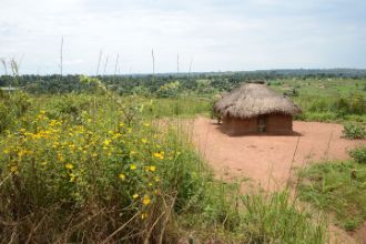 Strohgedeckte Lehmhütte auf einem Sandplatz, umgeben von Wiesen.