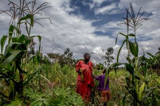 Eine Frau und ein Kind stehen inmitten von übermannshohen Pflanzen.