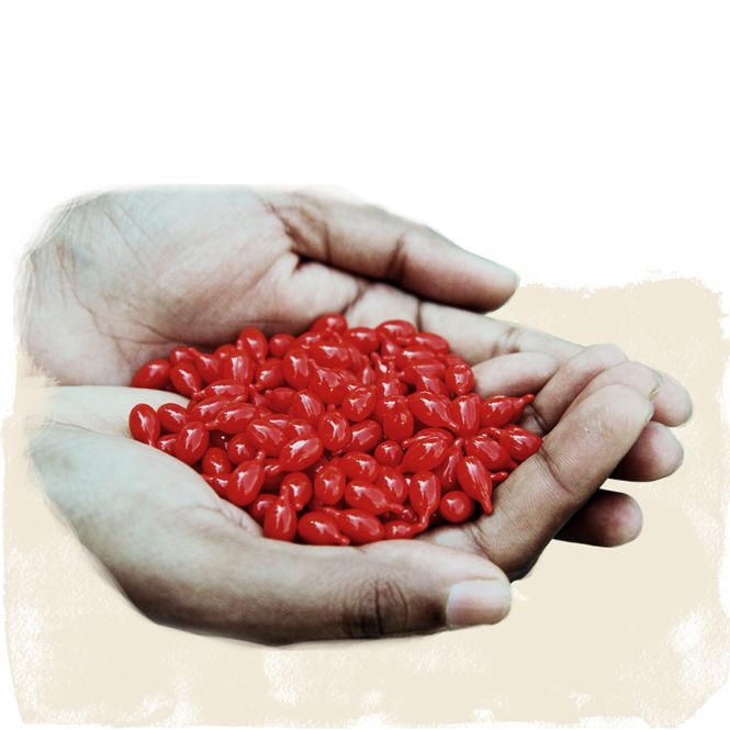 Zwei Händer voller roter Kapseln dank Spenden-Geschenk Medikamente