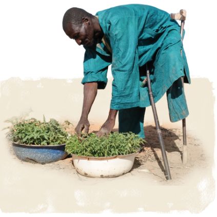 Ein Mann mit Unterarmstütze bückt sich zu einer Schüssel mit Setzlingen - dank Spenden-Geschenk Garten des Lebens