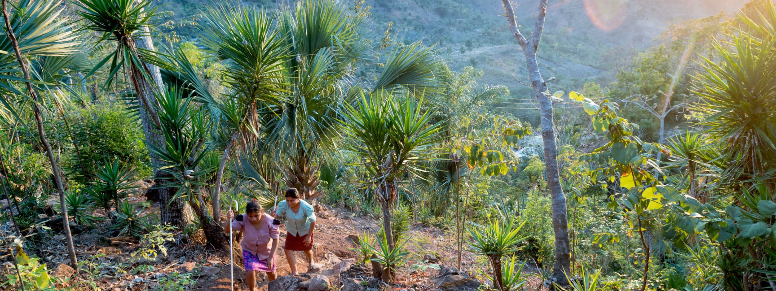 Zwei Frauen laufen bei untergehender Sonne einen mit Palmen bewaldeten Hang hinauf.