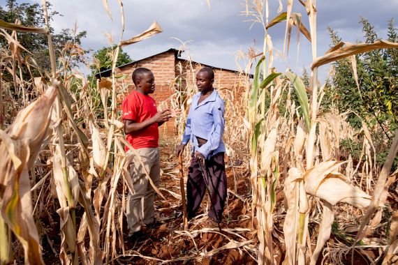 Kennedy Otieno, Projektmitarbeiter für Lebensunterhalt, spricht am 23. Juni 2025 mit John Mwaniki inmitten seiner gescheiterten Maisernte im Dorf Mbondoni, Bezirk Embu, Kenia. Die Regenzeit endete früh, und seit Mai gab es keinen nennenswerten Regen. John, 40 Jahre alt, lebt mit angeborener Zerebralparese.