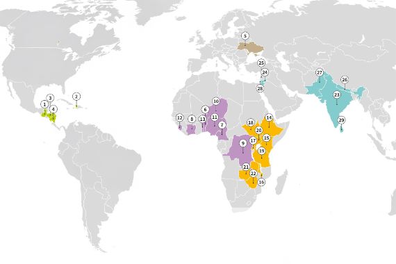 Weltkarte mit farbig markierten Ländern in Zentralamerika, Zentral-, West- Ost und im südlichen Afrika, im nahen Osten, in und um Indien und Sri Lanka.