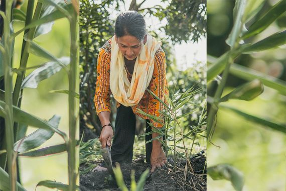Eine Frau arbeitet auf einem Feld.