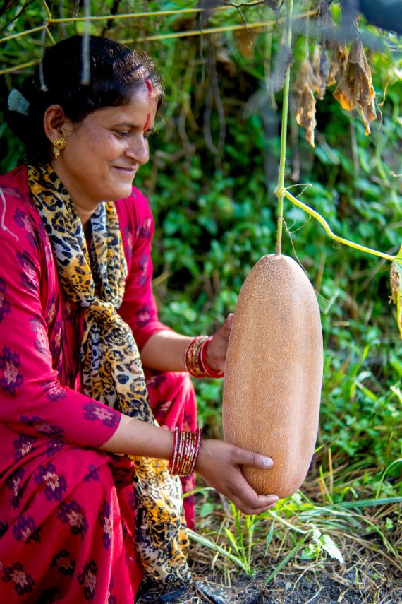 Ein Frau hält eine große Gurke in ihren Händen.
